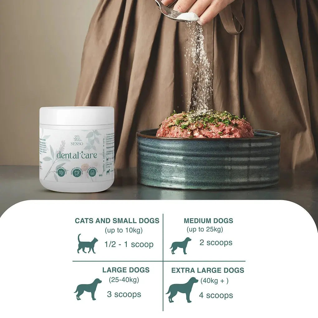 Dental Care sensopet.co.uk