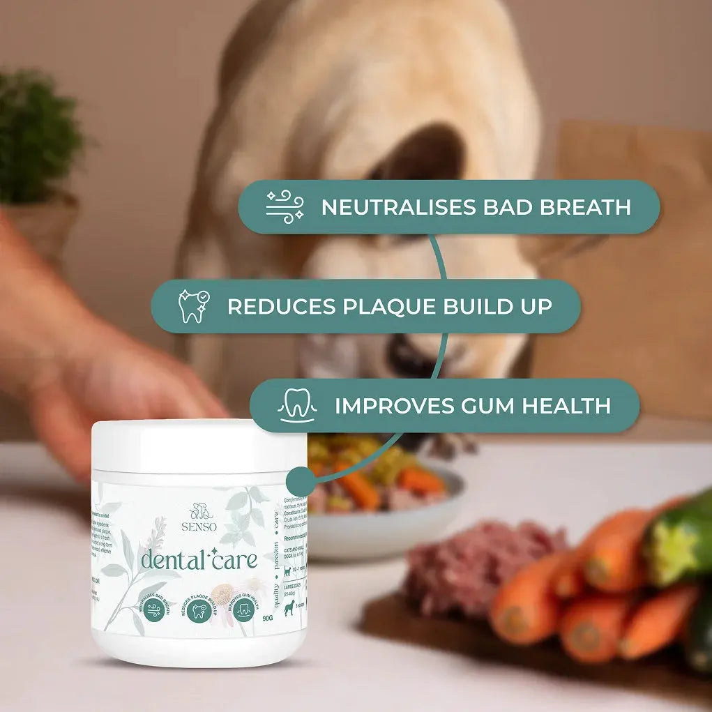 Dental Care sensopet.co.uk