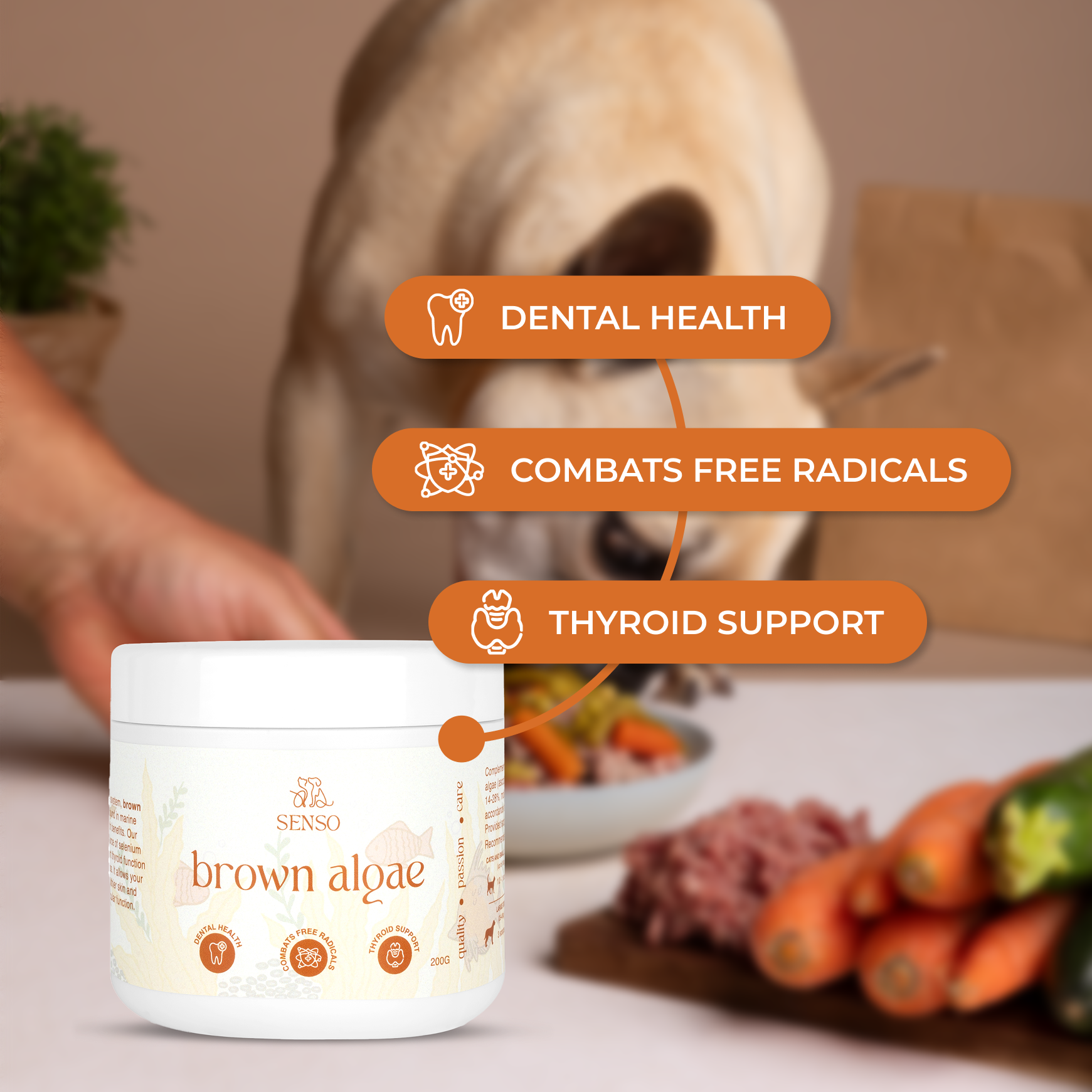 Brown Algae sensopet.co.uk