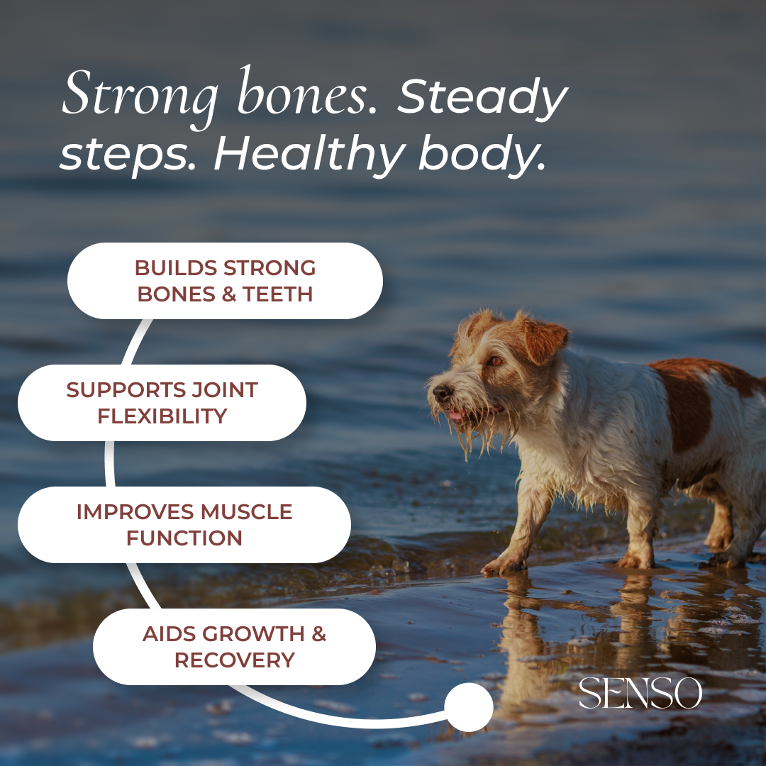 Algae Calcium sensopet.co.uk