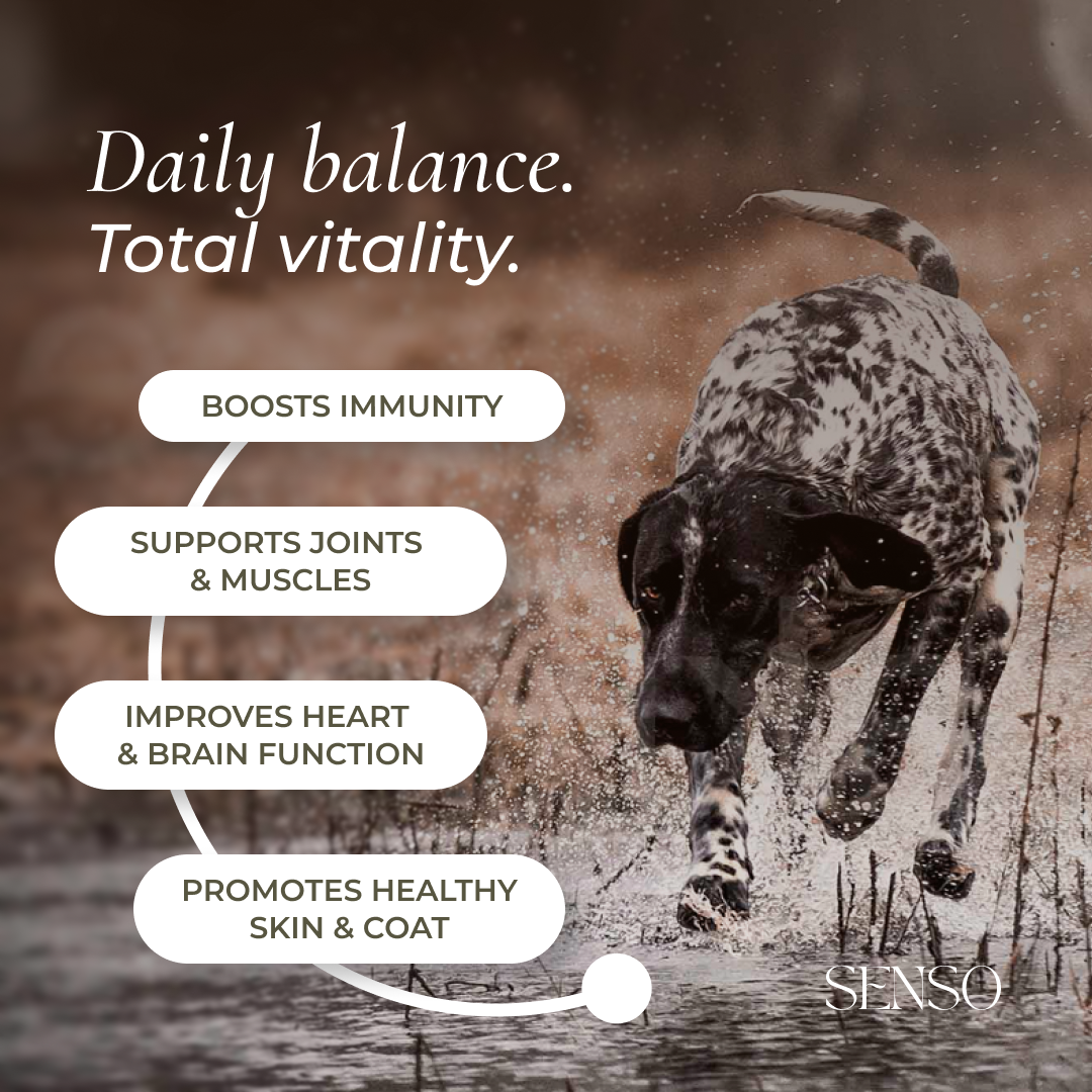 Balance Blend sensopet.co.uk