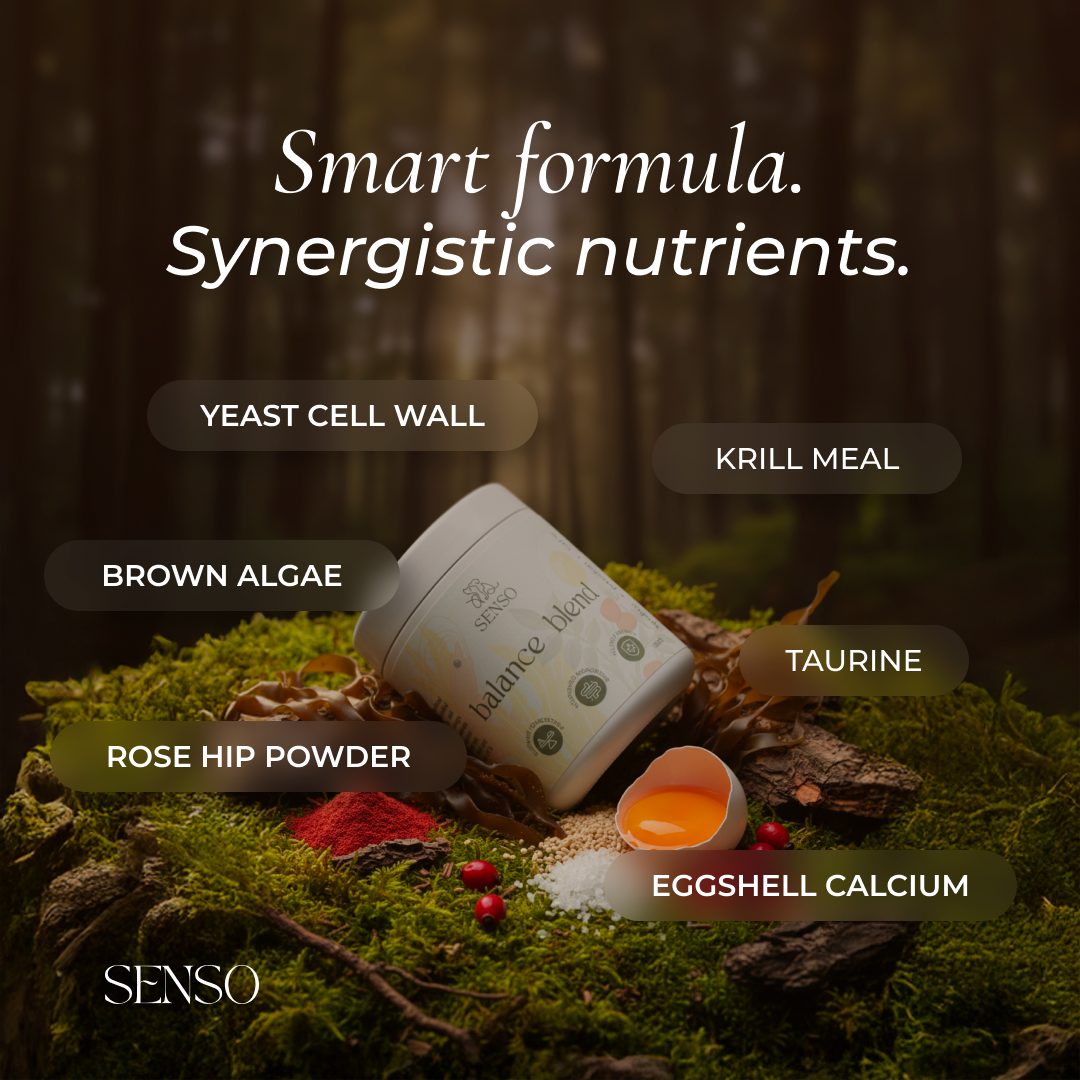 Balance Blend sensopet.co.uk