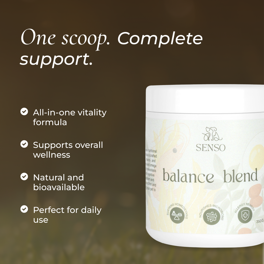 Balance Blend sensopet.co.uk
