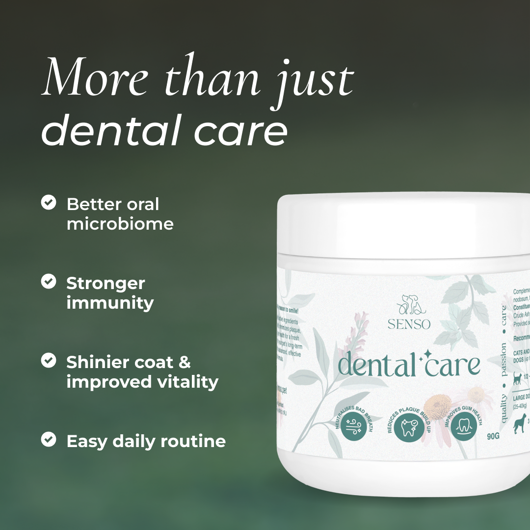 Dental Care sensopet.co.uk