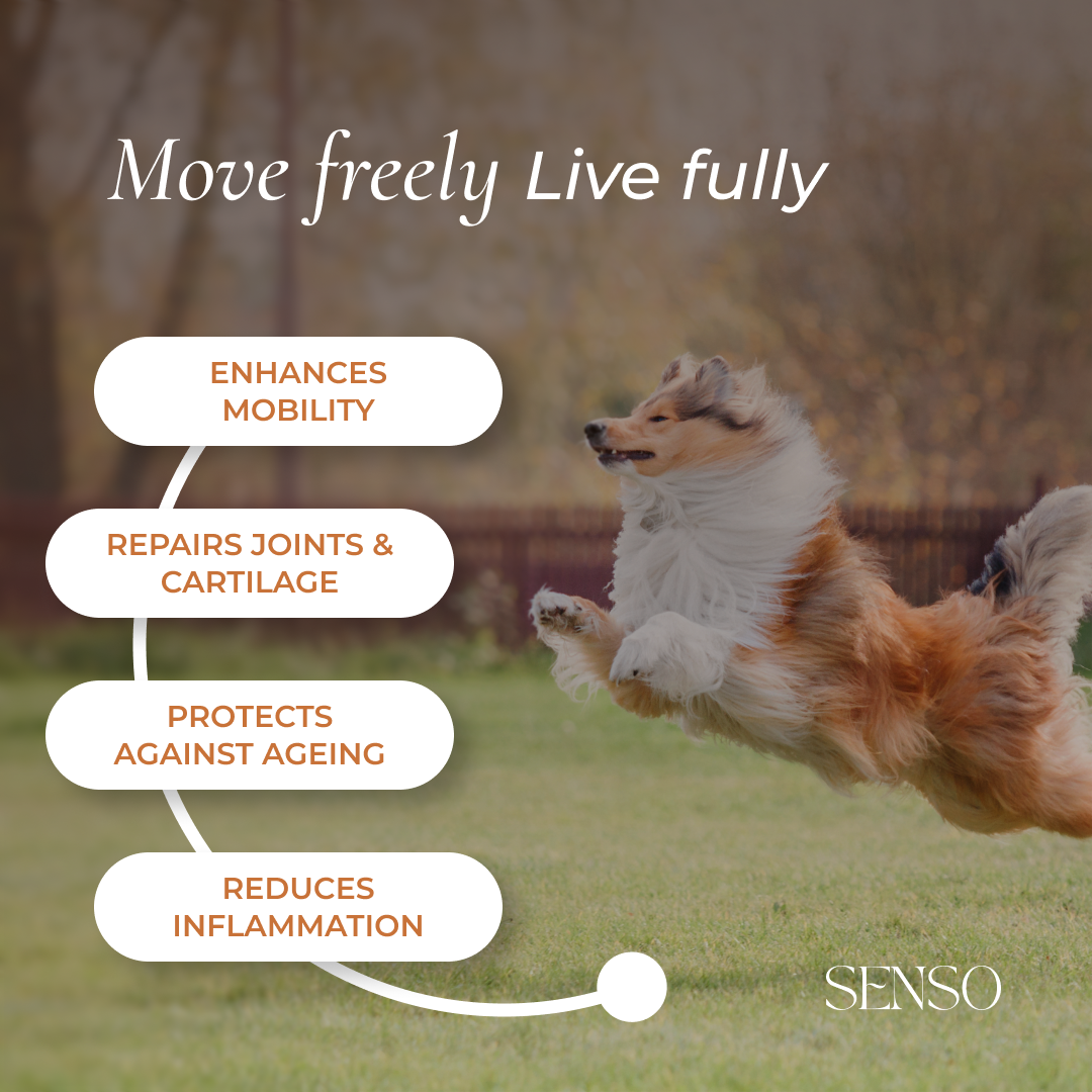 Joint Supreme sensopet.co.uk