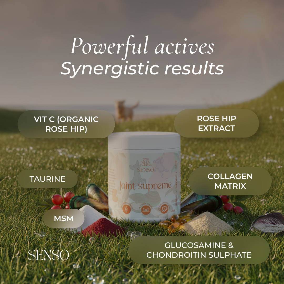 Joint Supreme sensopet.co.uk