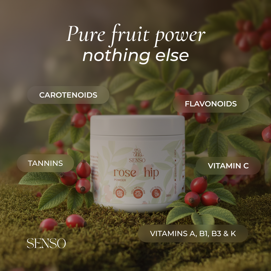 Rose Hip sensopet.co.uk