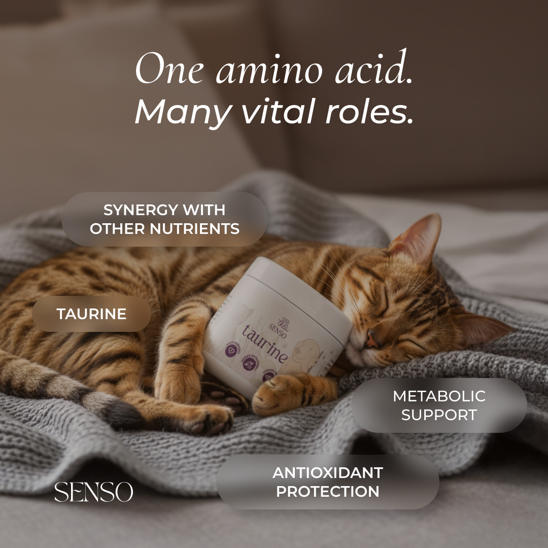 Taurine sensopet.co.uk