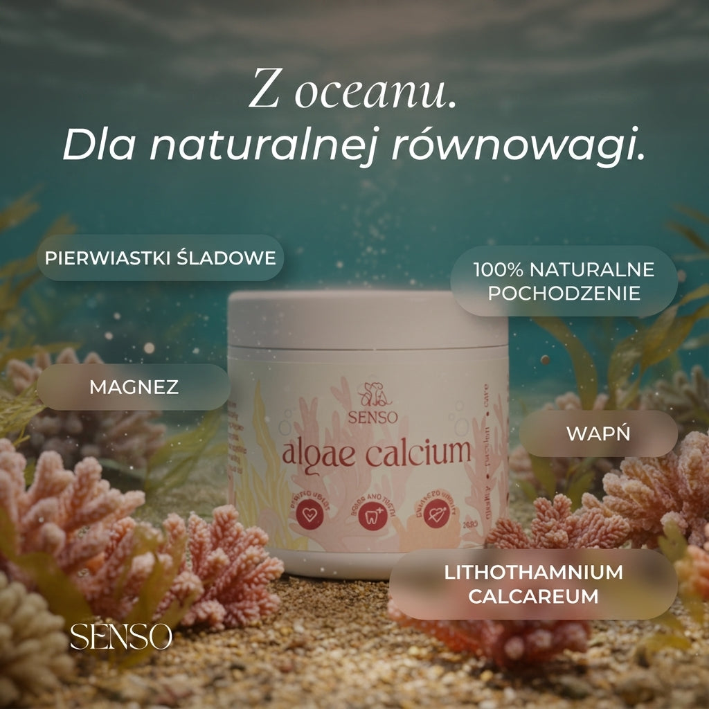 Infografika składu produktu Wapń z Alg dla psa