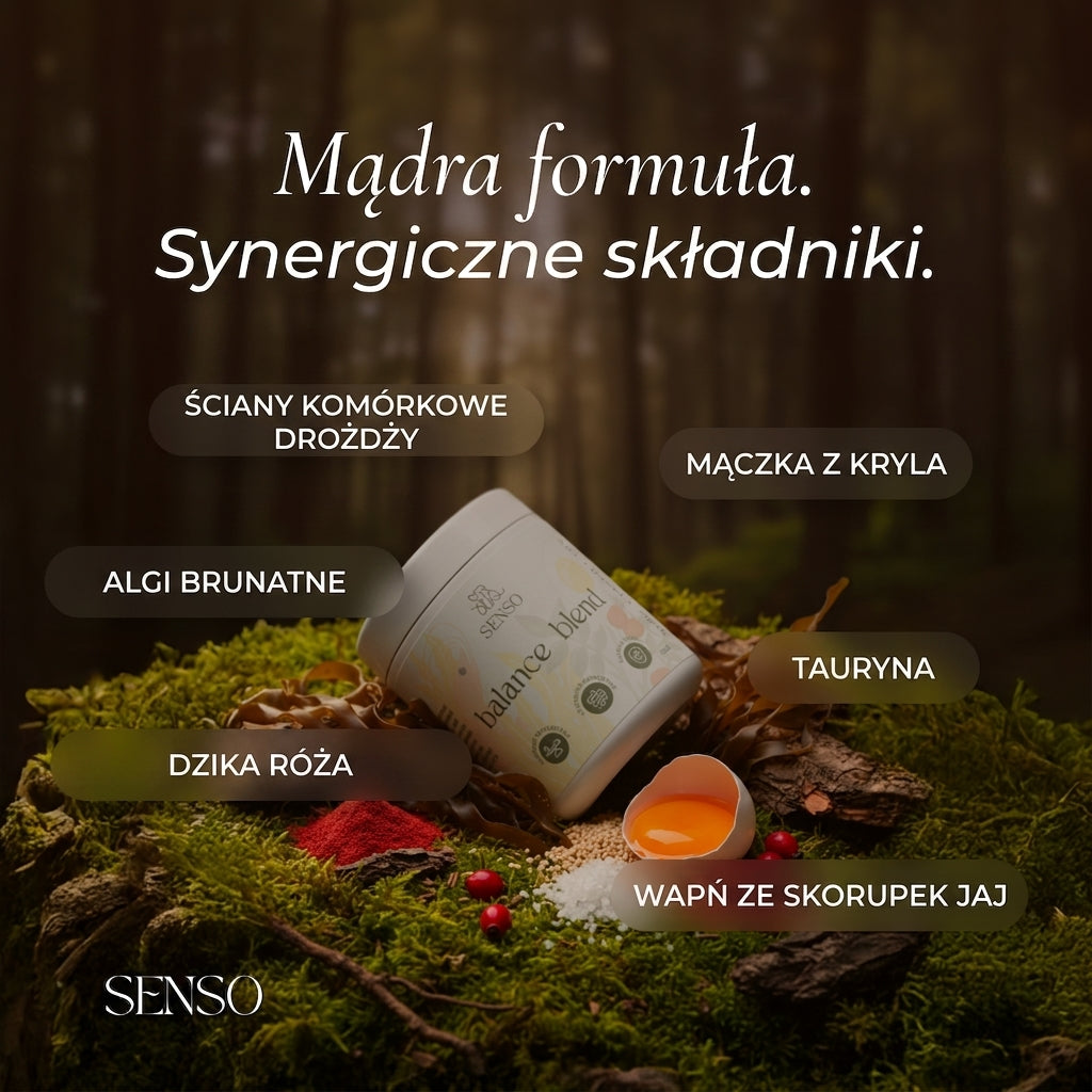 Infografika składu produktu Balance Blend dla psa