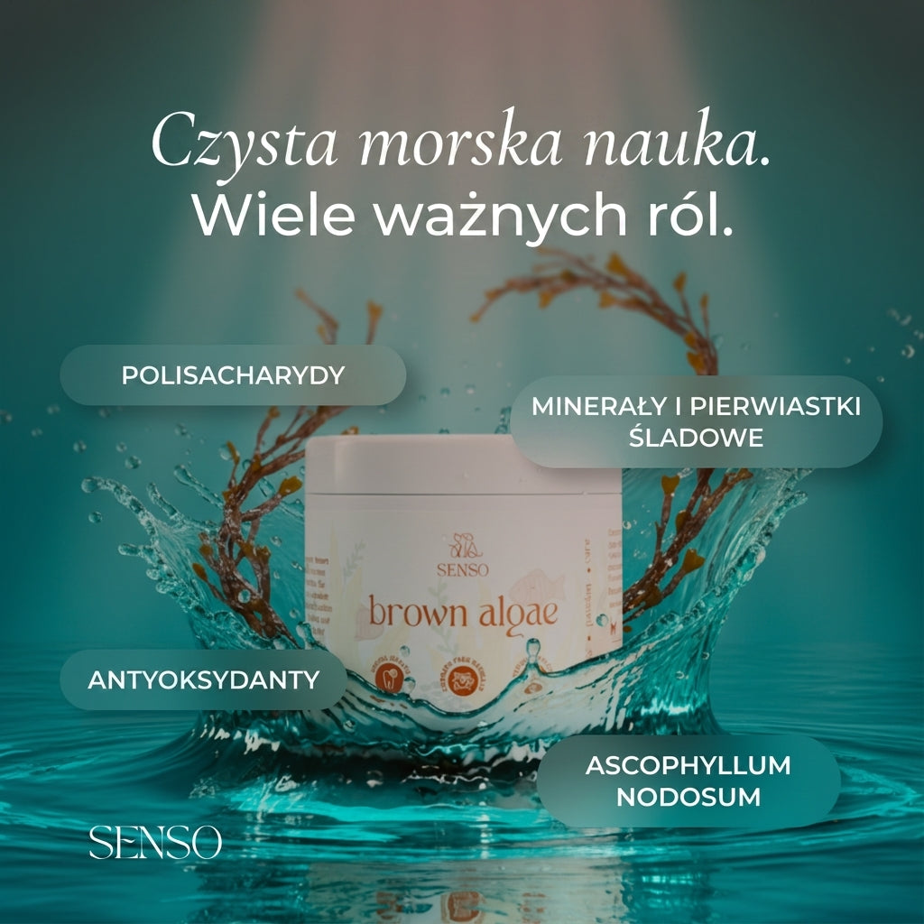Infografika składu produktu Algi Brunatne dla psa