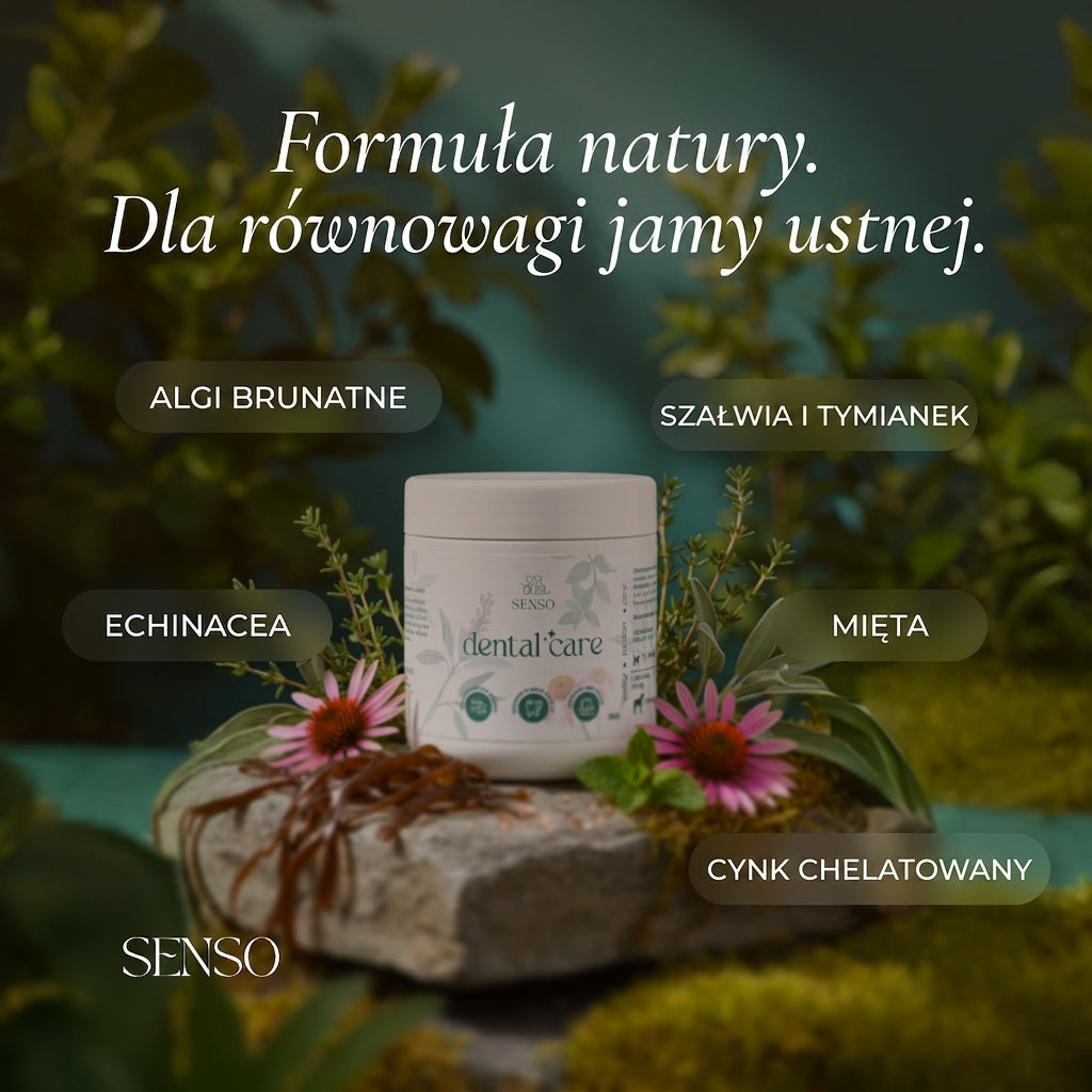 Infografika składu produktu Zdrowe Zęby Psa