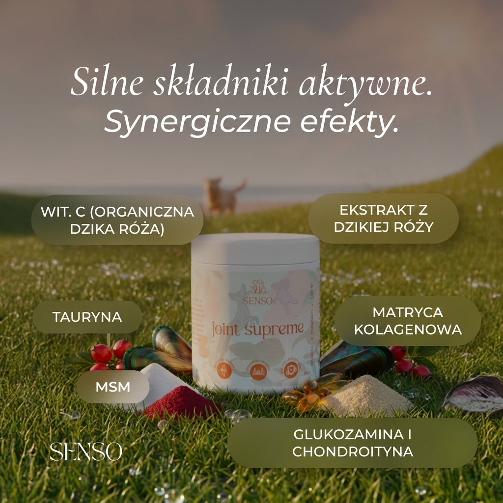 Infografika składu produktu Joint Supreme dla psa