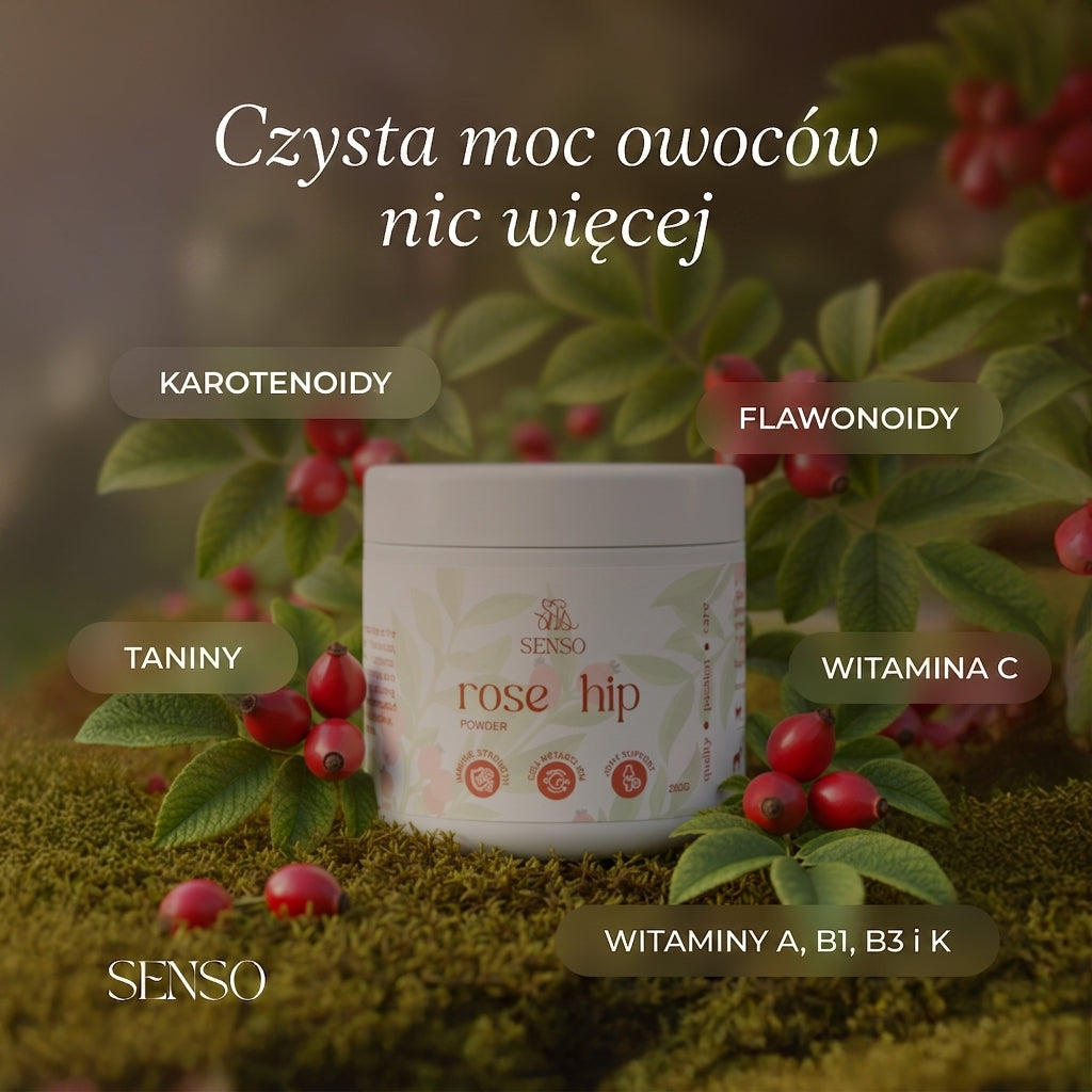 Infografika składu produktu Dzika Róża dla psa