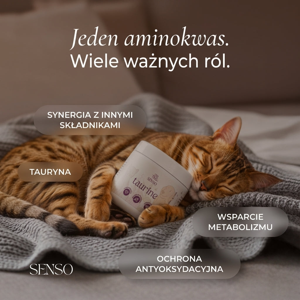 Infografika składu produktu Tauryna dla psa
